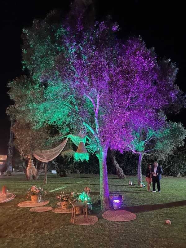Alquiler decoración para bodas Sanlúcar de Barrameda y Cádiz Alquiler decoración para bodas Sanlúcar de Barrameda y Cádiz